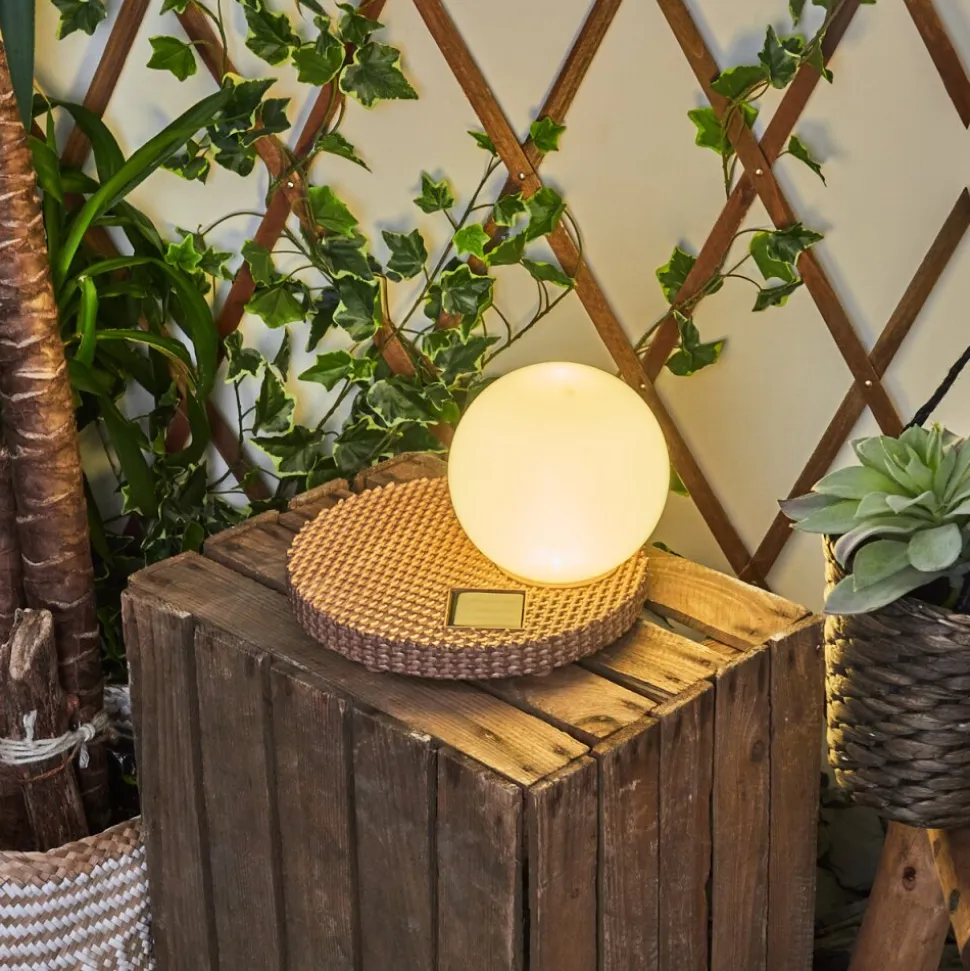 Lampe Solaires Centrache Led Brun, 1 Lumiere