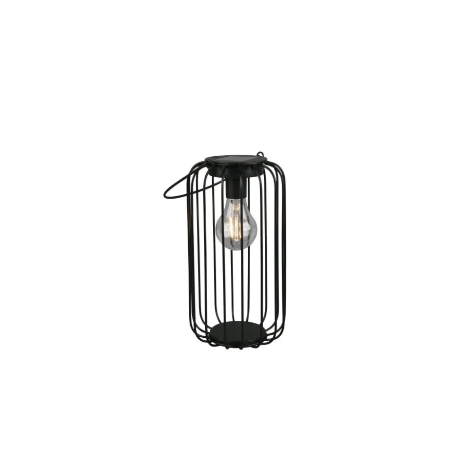 Lampe Solaires Reality Cotoca Led Noir, 1 Lumiere