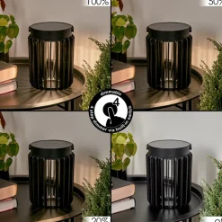 Lampe Solaires Rossina Led Noir, 1 Lumiere