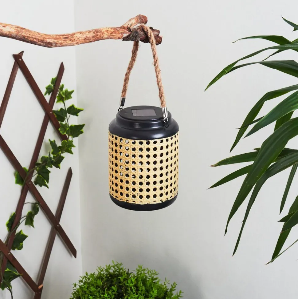 Lampe Solaires Sessivi Led Brun, Noir, 1 Lumiere