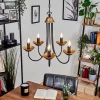 Lustre Cassague Noir, 5 Lumieres