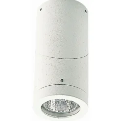 Plafonnier D'Exterieur Albert 2138 Blanc, 1 Lumiere