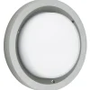 Plafonnier D'Exterieur Albert 6410 Led Argente, 1 Lumiere