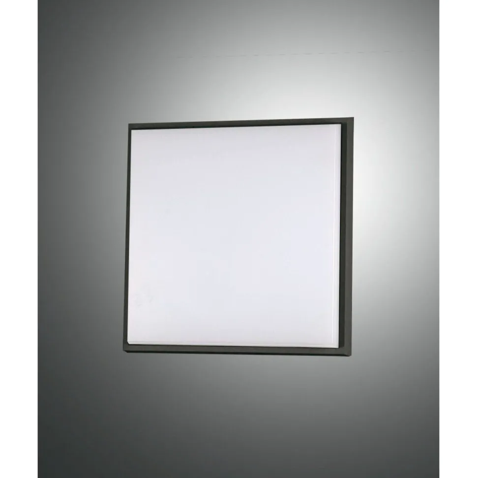 Plafonnier D'Exterieur Fabas Luce Desdy Led Noir, 1 Lumiere