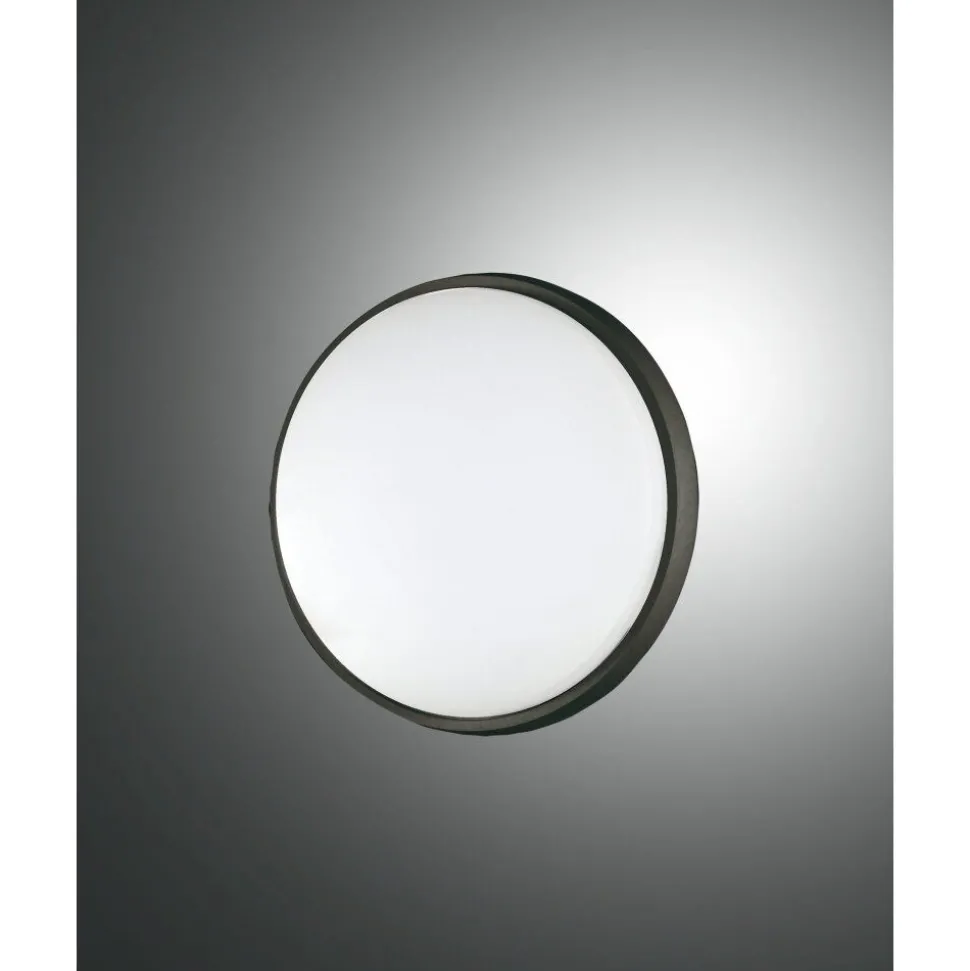 Plafonnier D'Exterieur Fabas Luce Olly Led Noir, 1 Lumiere