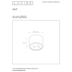 Plafonnier D'Exterieur Lucide Lily Blanc, 1 Lumiere
