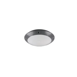 Plafonnier D'Exterieur Reality Camaro Anthracite, 1 Lumiere