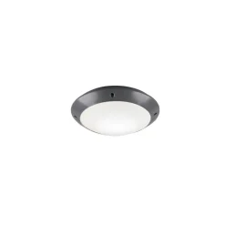 Plafonnier D'Exterieur Reality Camaro Anthracite, 1 Lumiere