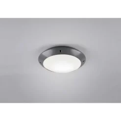 Plafonnier D'Exterieur Reality Camaro Anthracite, 1 Lumiere
