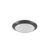 Plafonnier D'Exterieur Reality Camaro Anthracite, 2 Lumieres