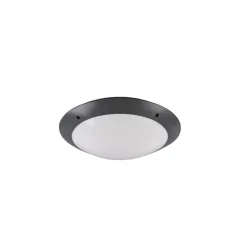Plafonnier D'Exterieur Reality Camaro Anthracite, 2 Lumieres