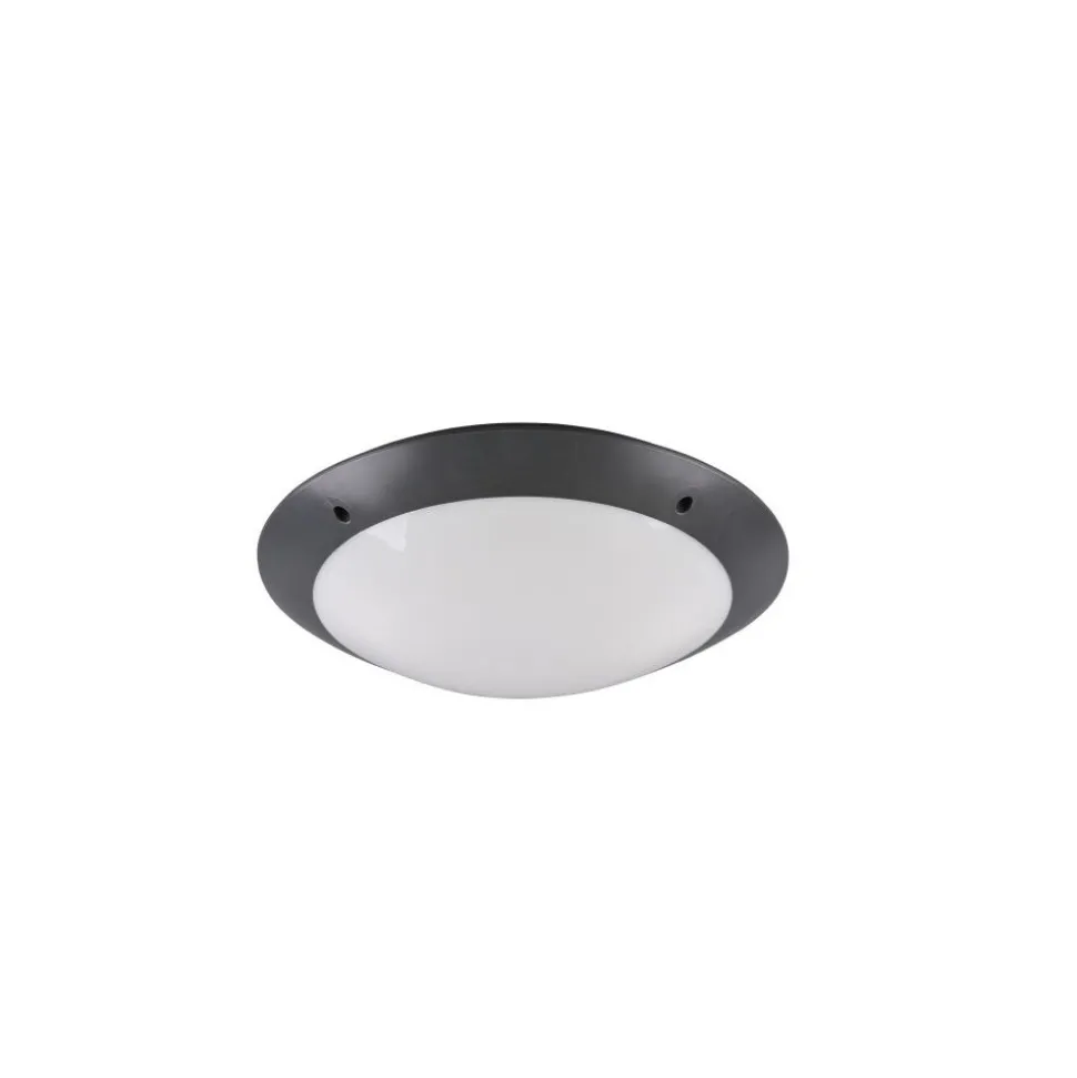 Plafonnier D'Exterieur Reality Camaro Anthracite, 2 Lumieres