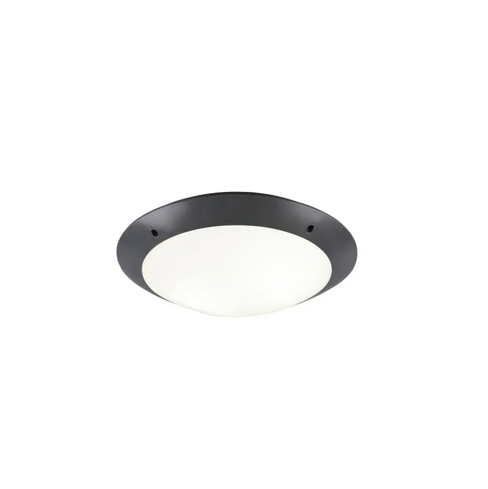 Plafonnier D'Exterieur Reality Camaro Anthracite, 2 Lumieres