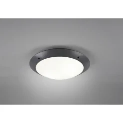 Plafonnier D'Exterieur Reality Camaro Anthracite, 2 Lumieres