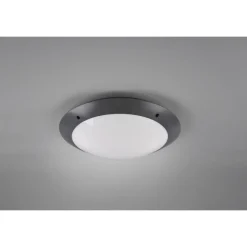 Plafonnier D'Exterieur Reality Camaro Anthracite, 2 Lumieres