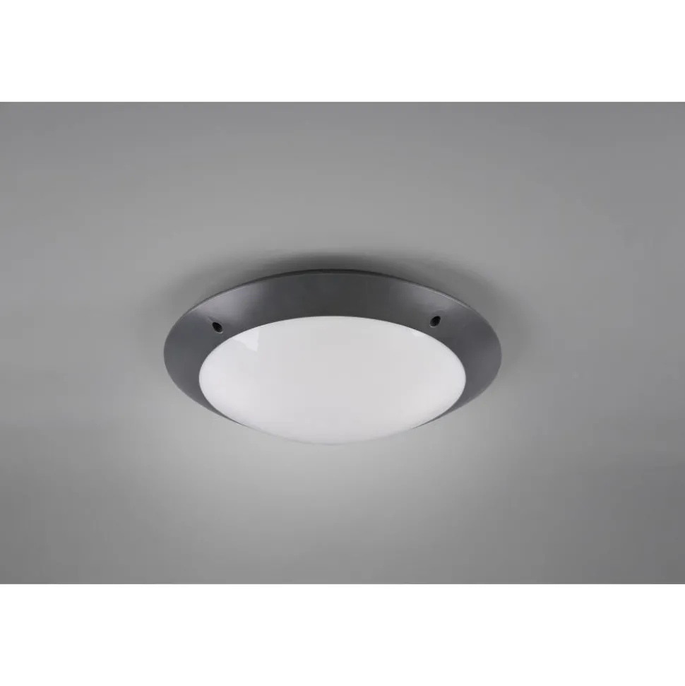 Plafonnier D'Exterieur Reality Camaro Anthracite, 2 Lumieres