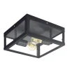 Plafonnier Eglo Alamonte 1 Noir, 2 Lumieres