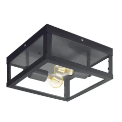 Plafonnier Eglo Alamonte 1 Noir, 2 Lumieres