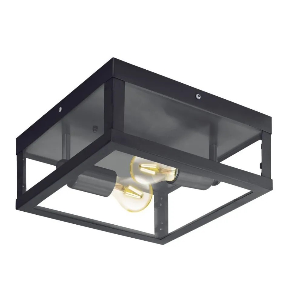Plafonnier Eglo Alamonte 1 Noir, 2 Lumieres