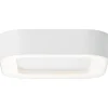 Plafonnier Exterieur Brillliant Whittaker Led Blanc, 1 Lumiere