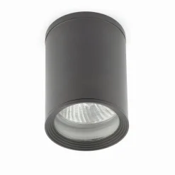 Plafonnier Exterieur Faro Tasa Anthracite, 1 Lumiere