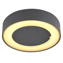 Plafonnier Exterieur Globo Sura Led Anthracite, 1 Lumiere