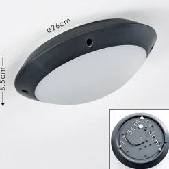 Plafonnier Exterieur Grafton Anthracite, 1 Lumiere