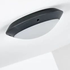 Plafonnier Exterieur Grafton Anthracite, 1 Lumiere