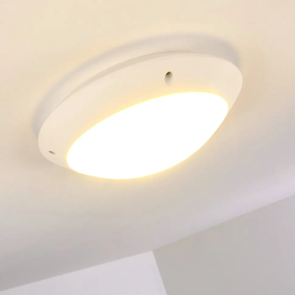 Plafonnier Exterieur Grafton Blanc, 1 Lumiere