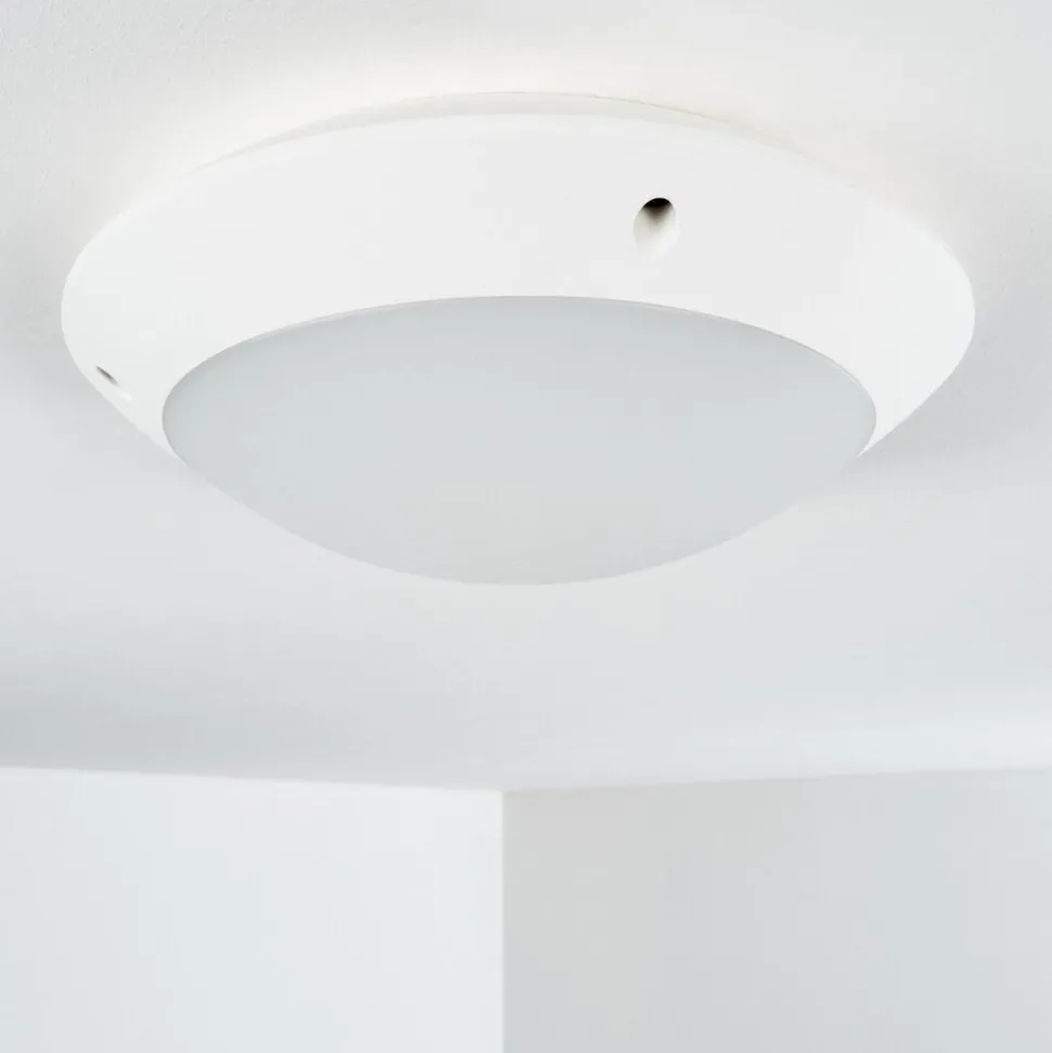 Plafonnier Exterieur Grafton Blanc, 1 Lumiere