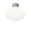 Plafonnier Exterieur Ideallux Clio Gris, 1 Lumiere