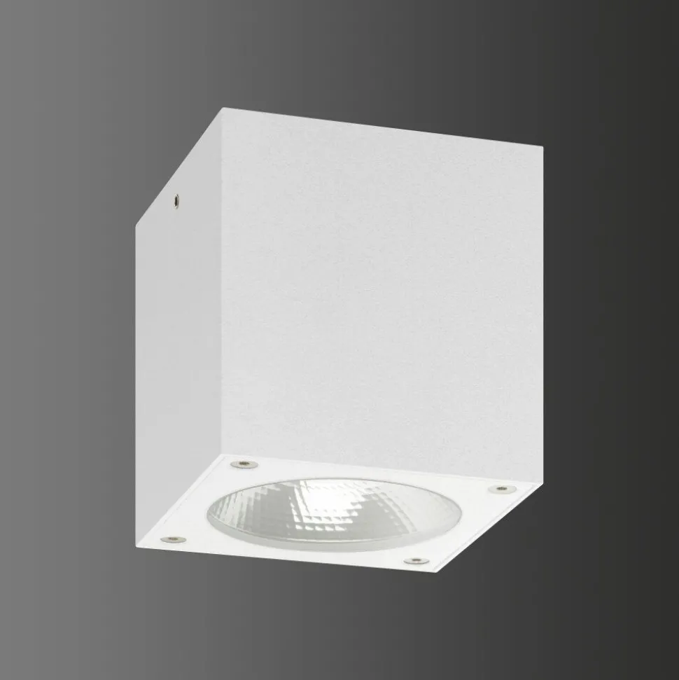 Plafonnier Exterieur Lcd 5029 Led Blanc, 1 Lumiere