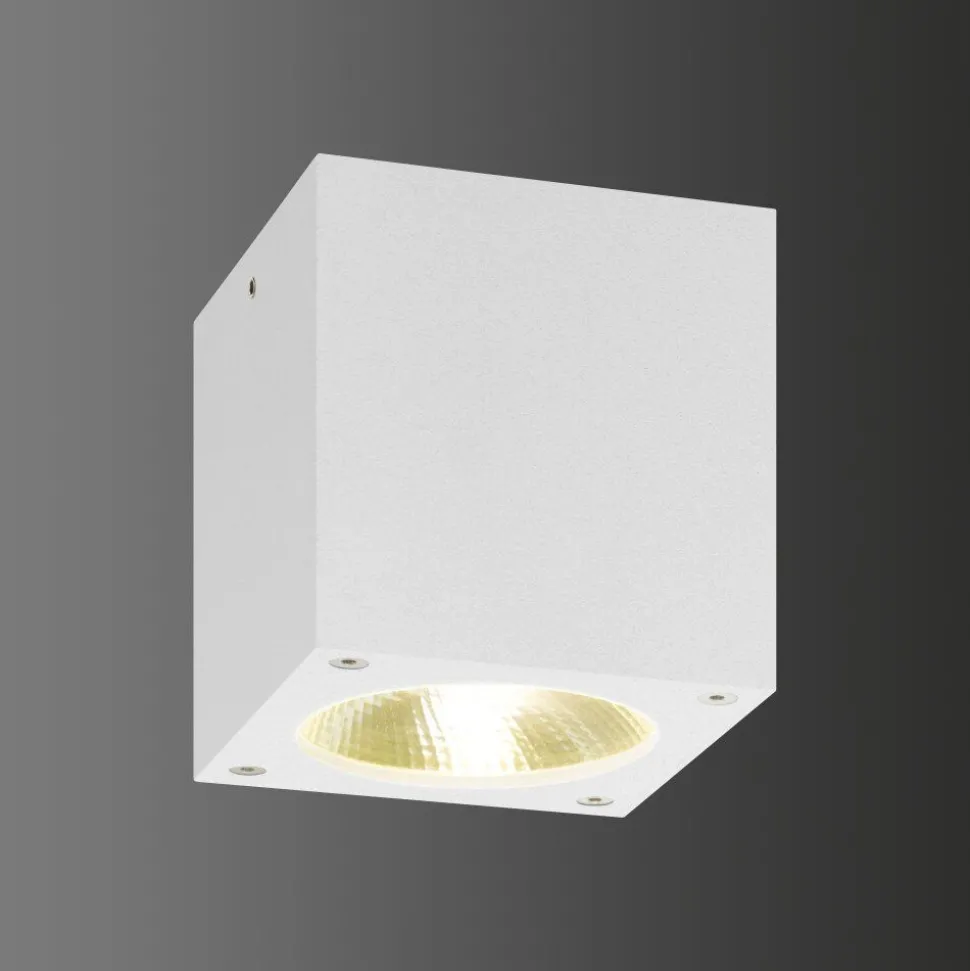 Plafonnier Exterieur Lcd 5029 Led Blanc, 1 Lumiere