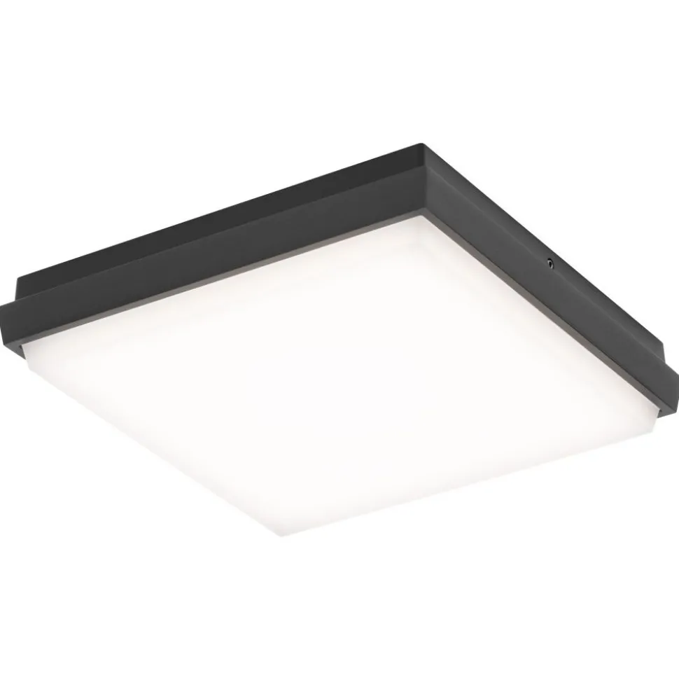 Plafonnier Exterieur Lcd Typ 5061 Led Noir, 1 Lumiere