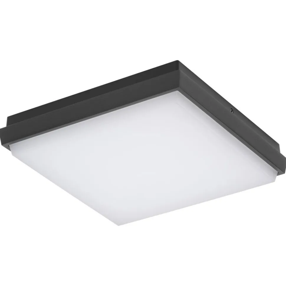 Plafonnier Exterieur Lcd Typ 5061 Led Noir, 1 Lumiere