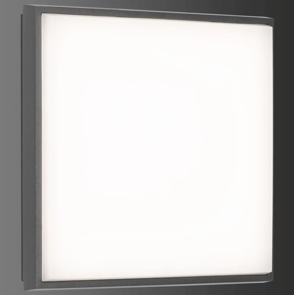 Plafonnier Exterieur Lcd Typ 5061 Led Noir, 1 Lumiere