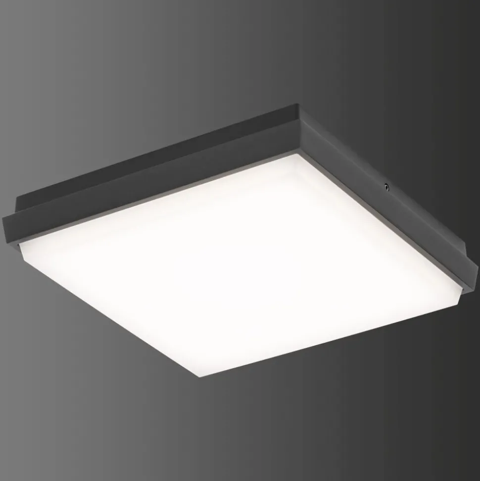 Plafonnier Exterieur Lcd Typ 5061 Led Noir, 1 Lumiere