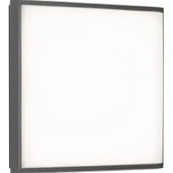 Plafonnier Exterieur Lcd Typ 5060 Led Noir, 1 Lumiere