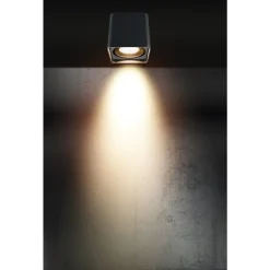 Plafonnier Exterieur Lcd Falshorn Gris, 1 Lumiere