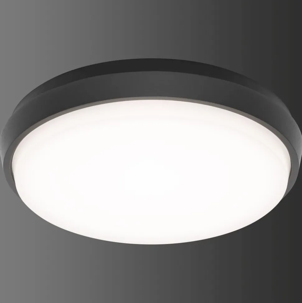 Plafonnier Exterieur Lcd Typ 5067 Led Noir, 1 Lumiere