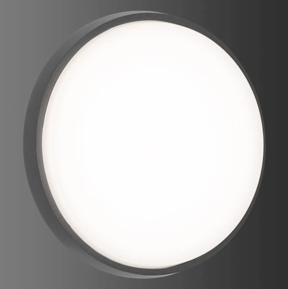 Plafonnier Exterieur Lcd Typ 5067 Led Noir, 1 Lumiere
