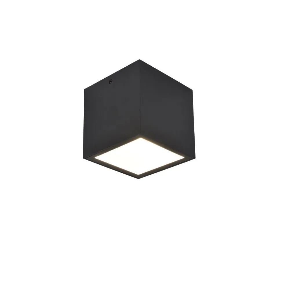 Plafonnier Exterieur Lutec Gemini Led Noir, 1 Lumiere