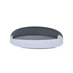 Plafonnier Exterieur Lutec Sweep Led Anthracite, 1 Lumiere