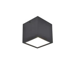 Plafonnier Exterieur Lutec Gemini Led Anthracite, 1 Lumiere