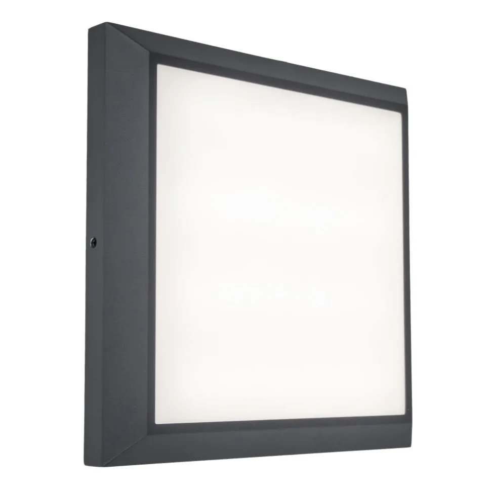 Plafonnier Exterieur Lutec Helena Led Anthracite, 1 Lumiere