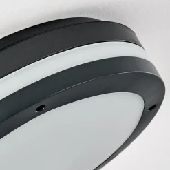 Plafonnier Exterieur Wollongong Led Anthracite, 1 Lumiere