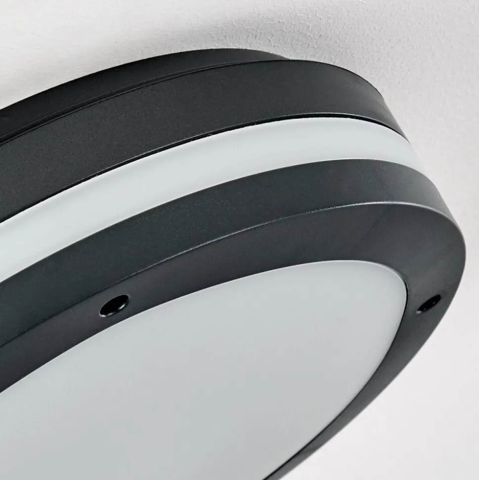 Plafonnier Exterieur Wollongong Led Anthracite, 1 Lumiere