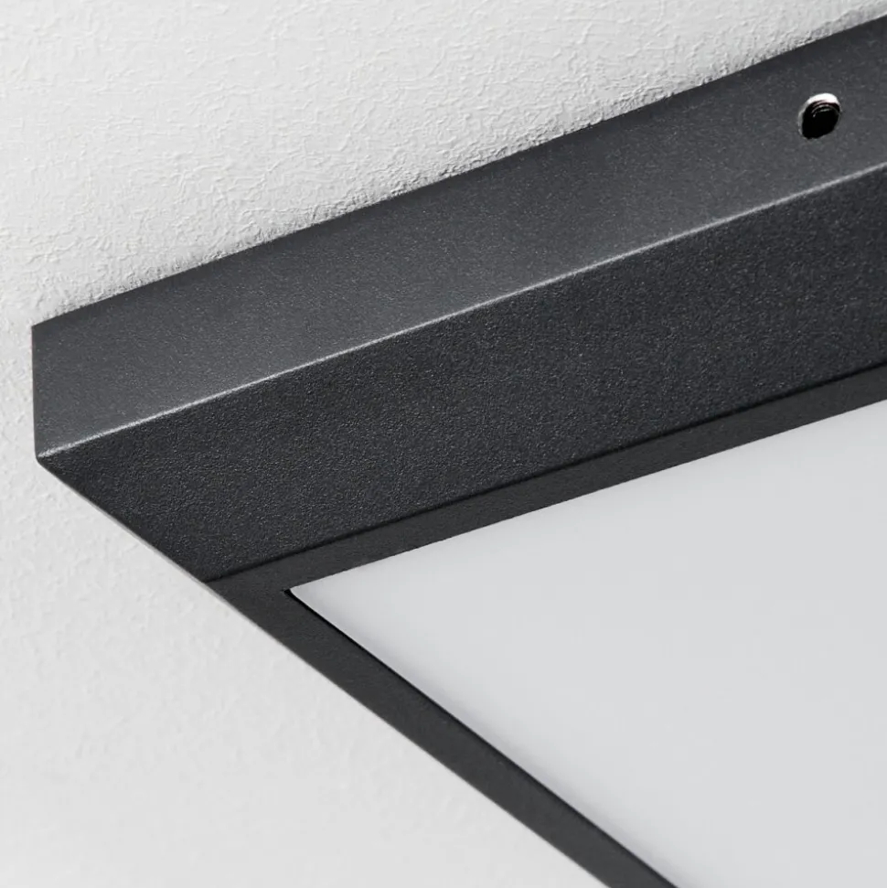Plafonnier Exterieuralkmaar Led Anthracite, 1 Lumiere