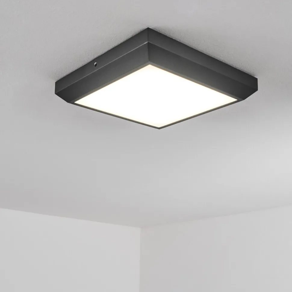 Plafonnier Exterieuralkmaar Led Anthracite, 1 Lumiere