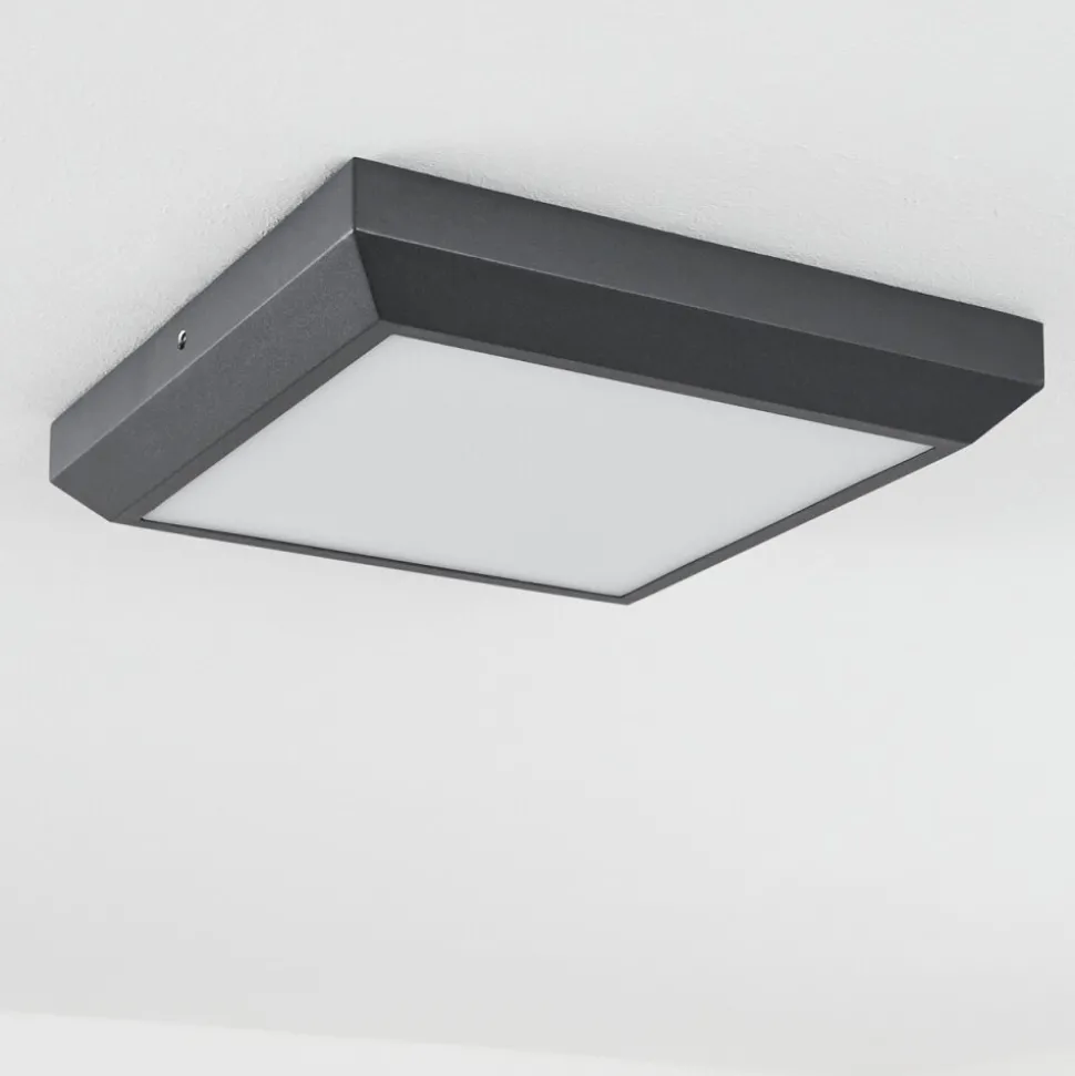 Plafonnier Exterieuralkmaar Led Anthracite, 1 Lumiere